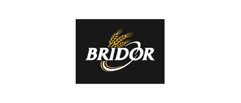Logo Bridor Logo Bridor