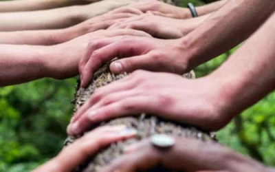 La diversité culturelle en entreprise : définition, avantages et défis